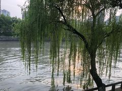 -运河游船(武林门码头)