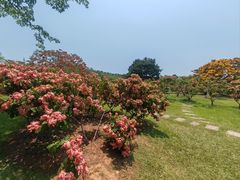 -中国科学院西双版纳热带植物园