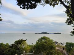 -上海市保健医疗中心