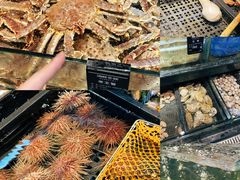 -海鲜e族(马王堆店)