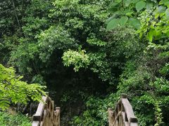 -神龙峡风景区