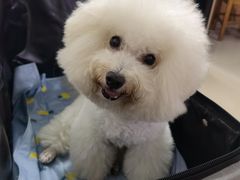 -阿荣24H宠物医院·综合型转诊中心·CT·核磁影像中心