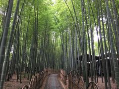 -宝岩生态观光园
