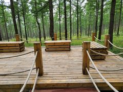 -塞罕坝国家级自然保护区