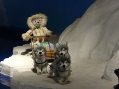 -成都泰迪熊博物馆