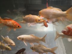 -中影国际影城(兰生大厦CINITY LED店)