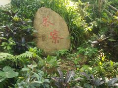 -青青世界