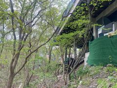 -紫金山山顶公园