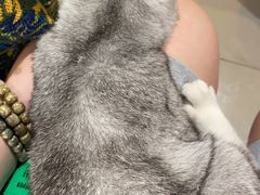 -平行世界·猫咖(首经贸店)