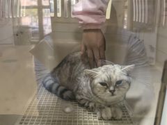 -瑞派天宁宠物医院·猫科·异宠中心