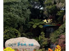 -东部华侨城