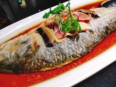 清蒸大鰣鱼-丰收日(五角场店)