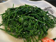 五指山野菜-琼菜王美食村