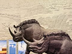 -大庆市博物馆
