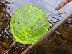 -众神白水涧景区