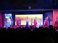 -金东尼人妖秀