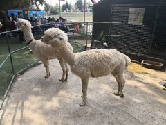 -青瓦房古村落