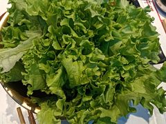 -杨记齐齐哈尔烤肉(总店)