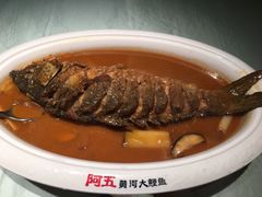 红烧黄河鲤鱼-阿五黄河大鲤鱼(纬三路店)