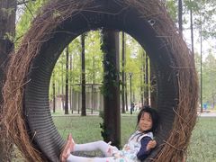 -黄海国家森林公园