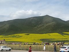 -扁都口生态休闲旅游区