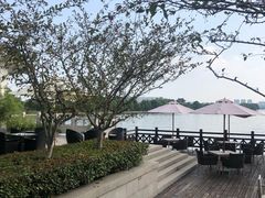 -望海·帆船主题咖啡厅•品茗下午茶(石湖景区店)