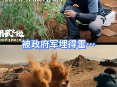 -中影国际影城(西溪印象城CINITYLED店)