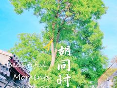 -南锣鼓巷