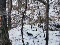 -帽儿山国家森林公园