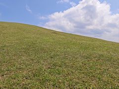 -大姆山草场