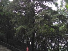 -襄阳烈士陵园(襄城区)