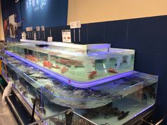 -盒马X会员店(上海森兰商都店)