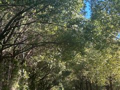 -艾溪湖湿地公园