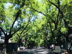 -北京协和医院(东单院区)