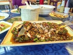 -龙翔山庄雷鸡肉(青城后山泰安古镇店)