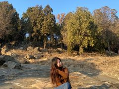 -泰山风景名胜区-普照寺