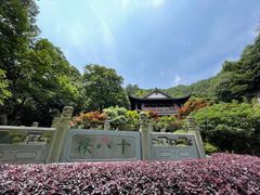 -十八棵（老龙井）御茶园(老龙井店)