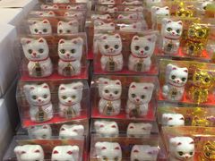 -猫咪博物馆(顶澳仔猫街店)