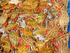 -开海·红岛海鲜虾水饺(石老人店)