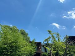 -青玉案·生日宴·纪念日·家宴主题餐厅(太湖西路店)