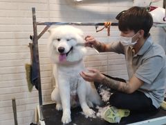 -PETKIT小佩宠物(古北店)