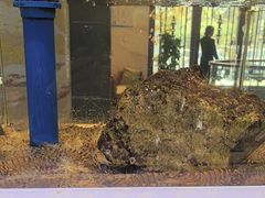 -小渔莊•地道胶东菜(旅游路万象省博物馆店)