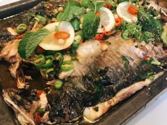 清江鱼-集天餐厅(人大店)