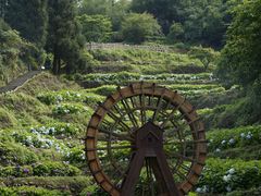 -鼓岭旅游度假区