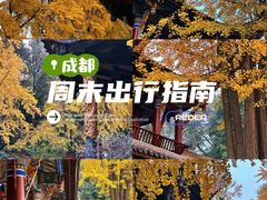 -青羊宫
