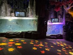 -泉城欧乐堡海洋极地世界