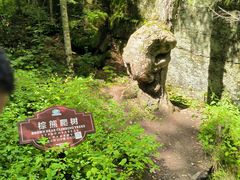 -汤旺河林海奇石景区