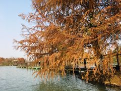 -苏州太湖国家湿地公园