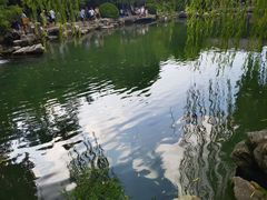 -趵突泉景区