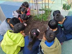 -贝美蓝天幼儿园(河东直沽园)